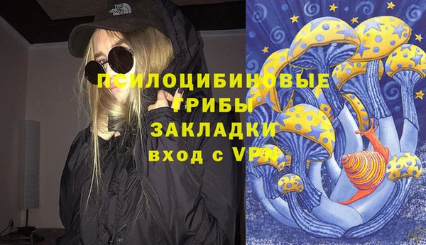 мет Дмитриев
