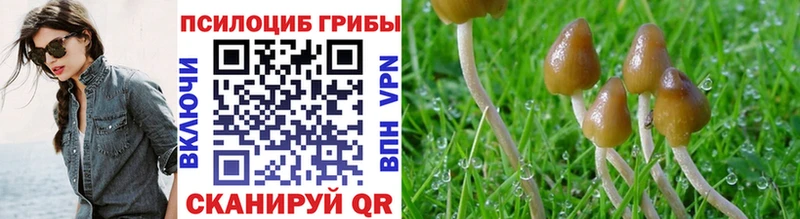 Купить  Питкяранта  Псилоцибиновые грибы мухоморы 